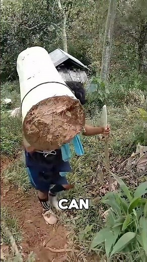The World’s Lightest Wood