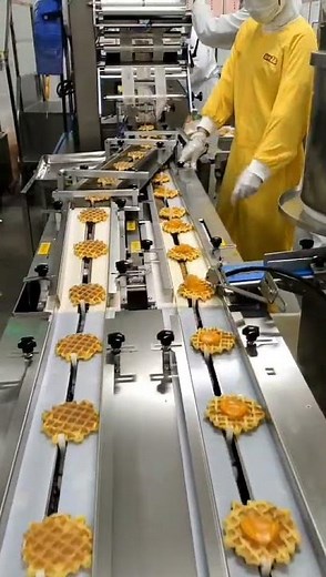 Food Processing Machinery: Inside an Automatic Floss Waffle Production Line