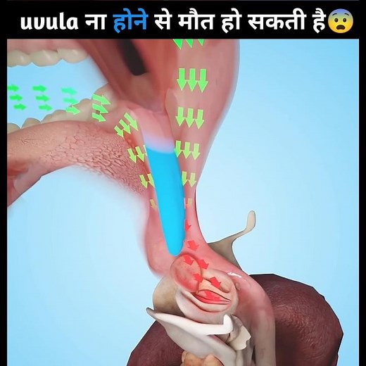 uvula in the throat what is it