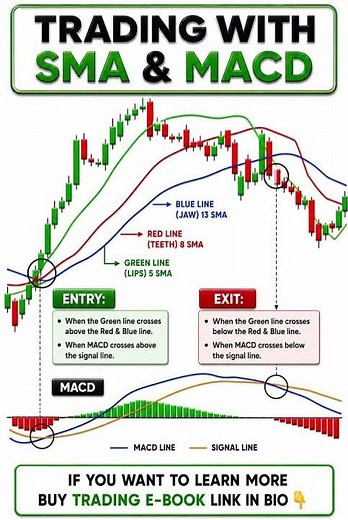 SMA & MACD Trading Strategy for Beginners 📈 | Best Entry & Exit Setup #tradingsetup