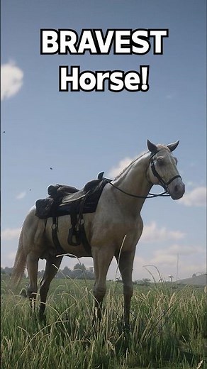 Top 4 BRAVEST Horse You Must OWN - RDR 2 #rdr2 #shorts