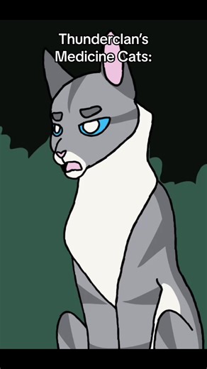 Jayfeather: Warrior Cats Fanart & Animation