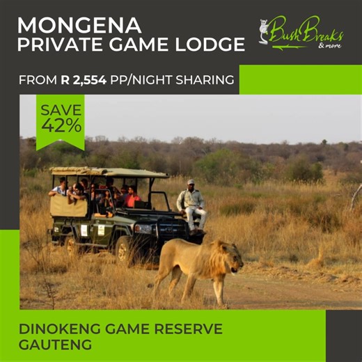 There’s no better time to discover the magic of the bush. With up to 62% off select lodges this winter, you can enjoy crisp mornings, roaring fires, and breathtaking wildlife. Book your dream getaway today! *Rates subject to change. | BushBreaks and More | Facebook