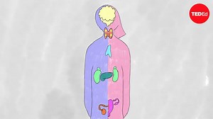 How do your hormones work?