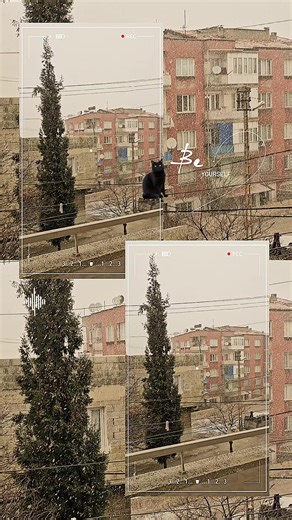 Elif_34_27 (@elif_34_27) adlı kullanıcının orijinal ses - __dadas__25 ile oluşturduğu videoları