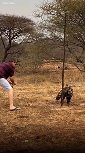 Uomo coraggioso va ad aiutare una genetta in difficoltà 👏❤️ | Newsner Italia