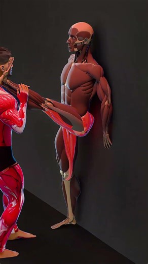 Assisted Hip Mobility Drill for Deep Hip Flexion, Glute Stretch & Lower Back Relief