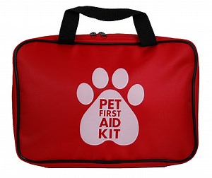 Bandages, CPR, Emergencies, Oh My! The Pet First Aid Kit Basics You Need, No Matter What