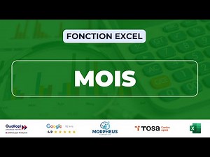 Fonction MOIS Excel : extraire le mois d'une date | Morpheus Formation