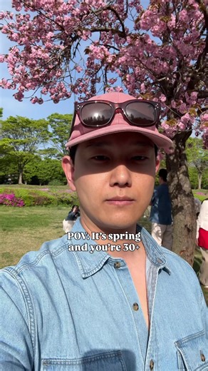 Beautiful Cherry Blossoms in Spring