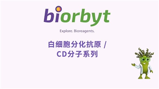白细胞分化抗原/CD分子系列