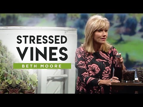 Stressed Vines | The Vineyard - Part 3 | Beth Moore