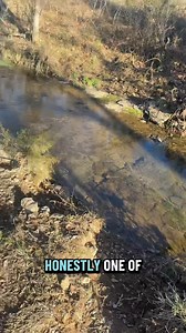 Did I find my missing snapping turtle 🐢 | Becca Miller