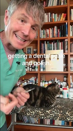 Dog or cat need a dental? Try a home dental scaler!