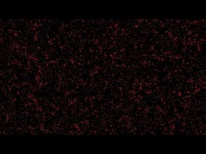 Conway's Game of Life