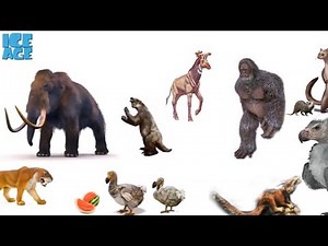 ICE AGE characters in Real Life | A Era Do Gelo