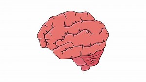 Download animated video forming the human brain on a white background for free