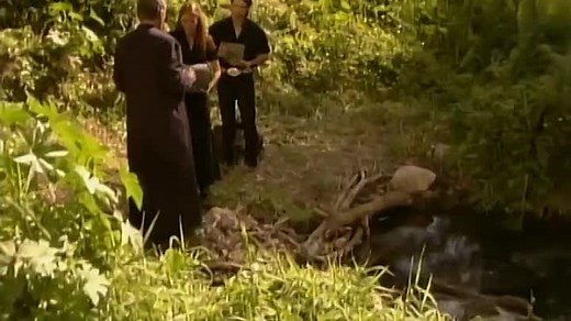 El Manantial Capítulo 87