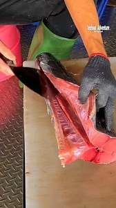 19K views · 88 reactions | Watch him cut this fish with snake-like skin  #weirdfish #snakefish #viralvideo | Seafood Adventure | Facebook