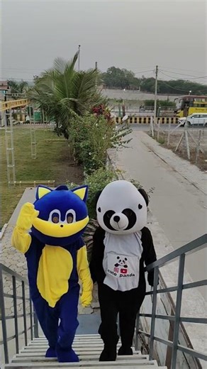 ટેડી અને પાન્ડા કા વર્કિંગ teddy panda ka warking 🐷💞🐼🤪#funny #shorts #trending