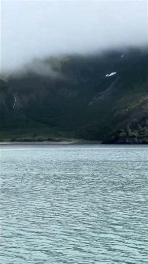 Kenai Fjords Glacier Cruise – Alaska’s Wild Beauty Up Close, Alaska, USA 🇺🇸