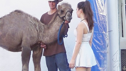 CAMEL TOE PRANK XD | whatever