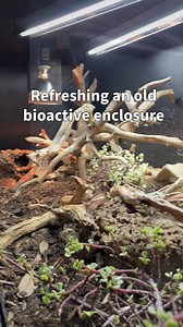 1.8K views · 40 reactions | Here's how we refresh old bioactive...