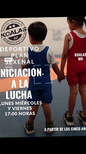 koalas wrestling on TikTok