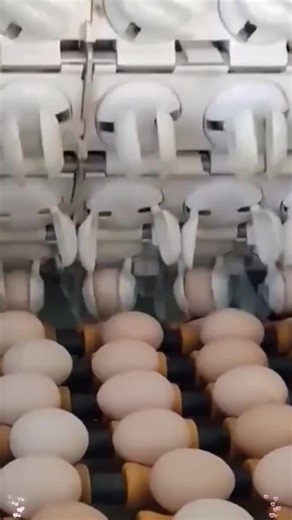 Effective Pressure Relief in Assembly Line Production