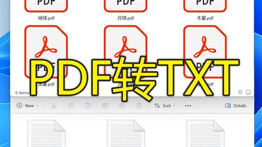 上百个PDF文件快速转换成TXT纯文本