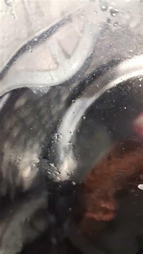 AEG 7000 series the gum almost like AEG protex