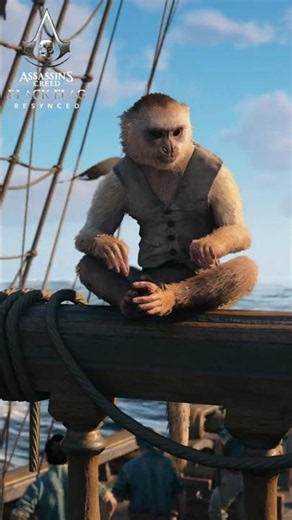 Black Flag Pets Join the Jackdaw!