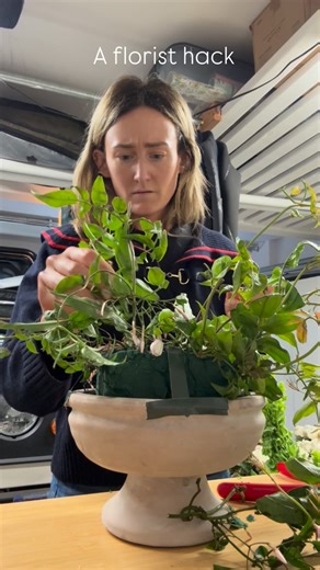 Santa Barbara Wedding Florist • Mackenzie Nancarrow Designs on Instagram: "A florist hack - Loose, airy, garden-rose heaven. I build the shape first, then tuck roses in pockets so they feel soft and natural. Jasmine for the spill, orlaya for texture, larkspur for that high, wispy moment… it’s all about movement and letting every stem breathe 1 bunch jasmine 5 stems larkspur 5 quicksand roses 7 stems Desdemona garden roses 3 peach peonies 5 scabiosia 5 stems orlaya 3 stems queens Anne’s lace 7 tu