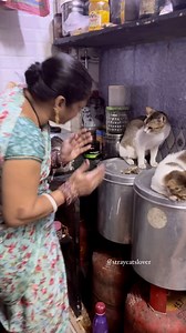 Mom is mom😂🫶 Scolding her due to her behaviour 😂😅 Part 2 . If you like her, who is caring n number of streets cats then go follow her own account to check her video ❤️ @zombieefamily Thank You❤️ #insta #instagram #instagood #insta #instadaily #instamood #instaphoto #instacool #instacat #catsofinstagram #catlife #catstagram #réel #reelsinstagram #reels #reelitfeelit #reelkarofeelkaro #reel #animal #animals | Straycatslover
