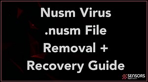 Nusm Virus File