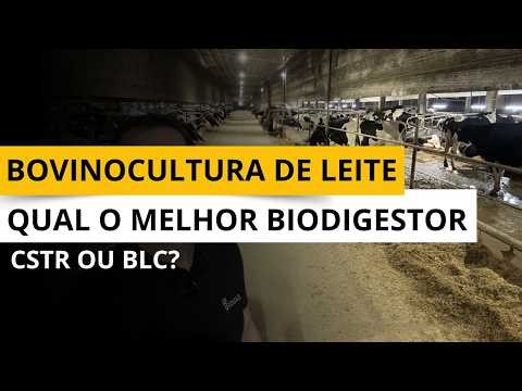 BOVINOCULTURA DE LEITE | Qual o melhor Biodigestor CSTR ou BLC