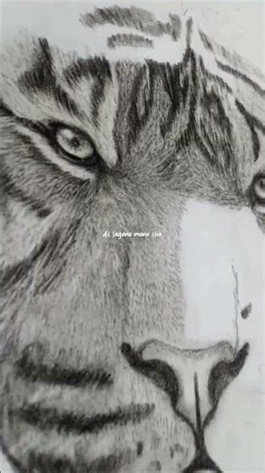 drawing #tigerdrawing #ytshorts #youtubeshort #shortfeed #fyp #viralshort