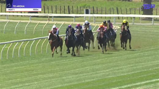 The first of two trials today from Racing Te Aroha included Poetic Champion, Little Black Dress for Marsh Racing and Qali Al Farrasha and Espionage for Te Akau Racing. Heading for quality races over the coming weeks. WATCH LIVE TODAY🎥 http://bit.ly/4rx7ACq | Trackside NZ