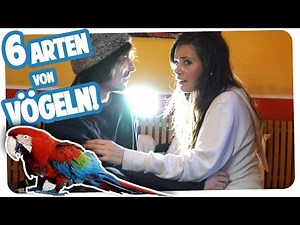 6 ARTEN VON VÖGELN | Teil 2 | Joyce