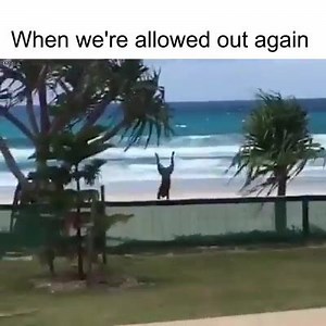 3.5K views · 81 reactions | 100% me | Greyhound Australia | Facebook