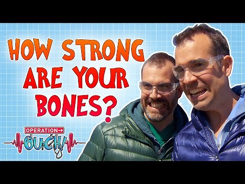 How Strong Are Your Bones? | Operation Ouch