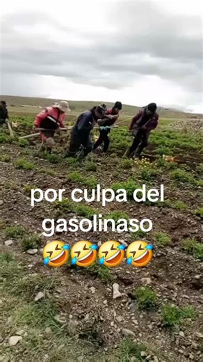 Videos de COLQUE (@colque728) con “sonido original - COLQUE”