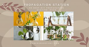 31 Marvellous DIY Plant Propagation Station ideas