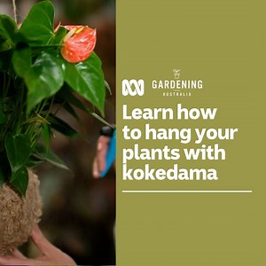 249K views · 7.5K reactions | Too many plants crowding your...