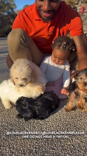 Yesssssssss they are ready for new loving homes 🏡! As our daughter would say which "dog" 😍 is your favorite? Lovelace Kennel 🏡 of the fur babies 🥰 | Lovelace Kennel Klub