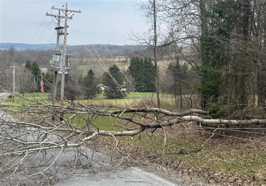 Power outage reported in rural Madison County after tree takes down power lines