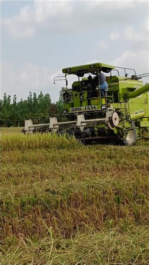 GRD combine #combine #harvestermachine #combinemachine #combineharvester #harvesterwala#tranding