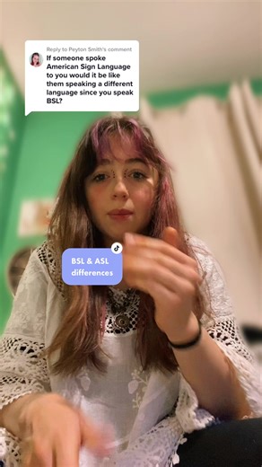 Sign Language Differences Explained