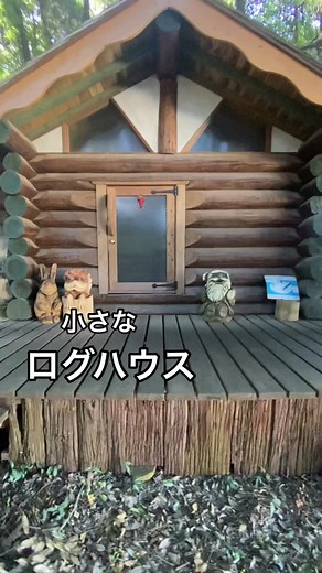 丸太小屋の魅力と手作り家具の紹介