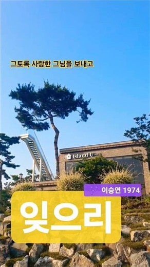 잊으리 #이승연#추억의가요#트로트